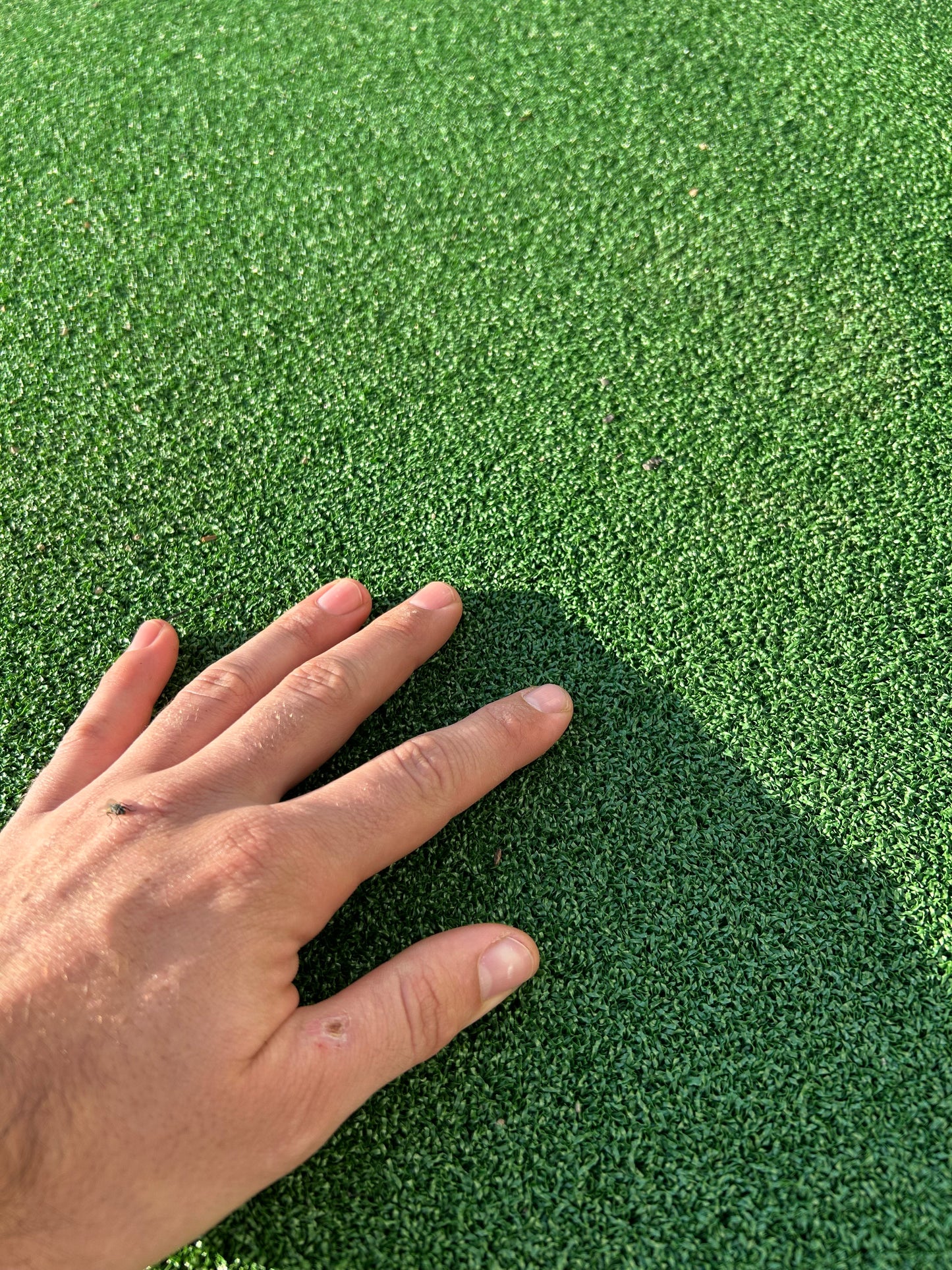 12mm Multi-Sport (2x10m)