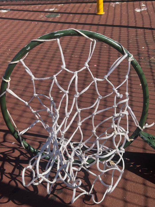 Netball net